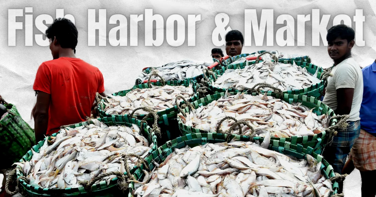 Fish Harbor & Market