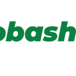 Probashi Fly logo
